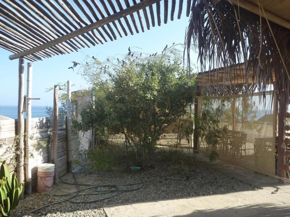 Oceanic Bungalows Los Organos Ngoại thất bức ảnh